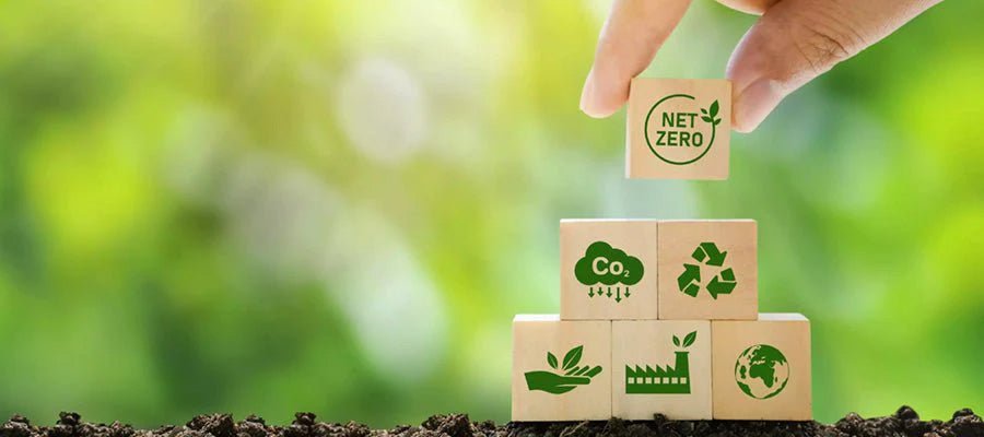 Sustainability In Action: How Manufacturers Are Leading The Change